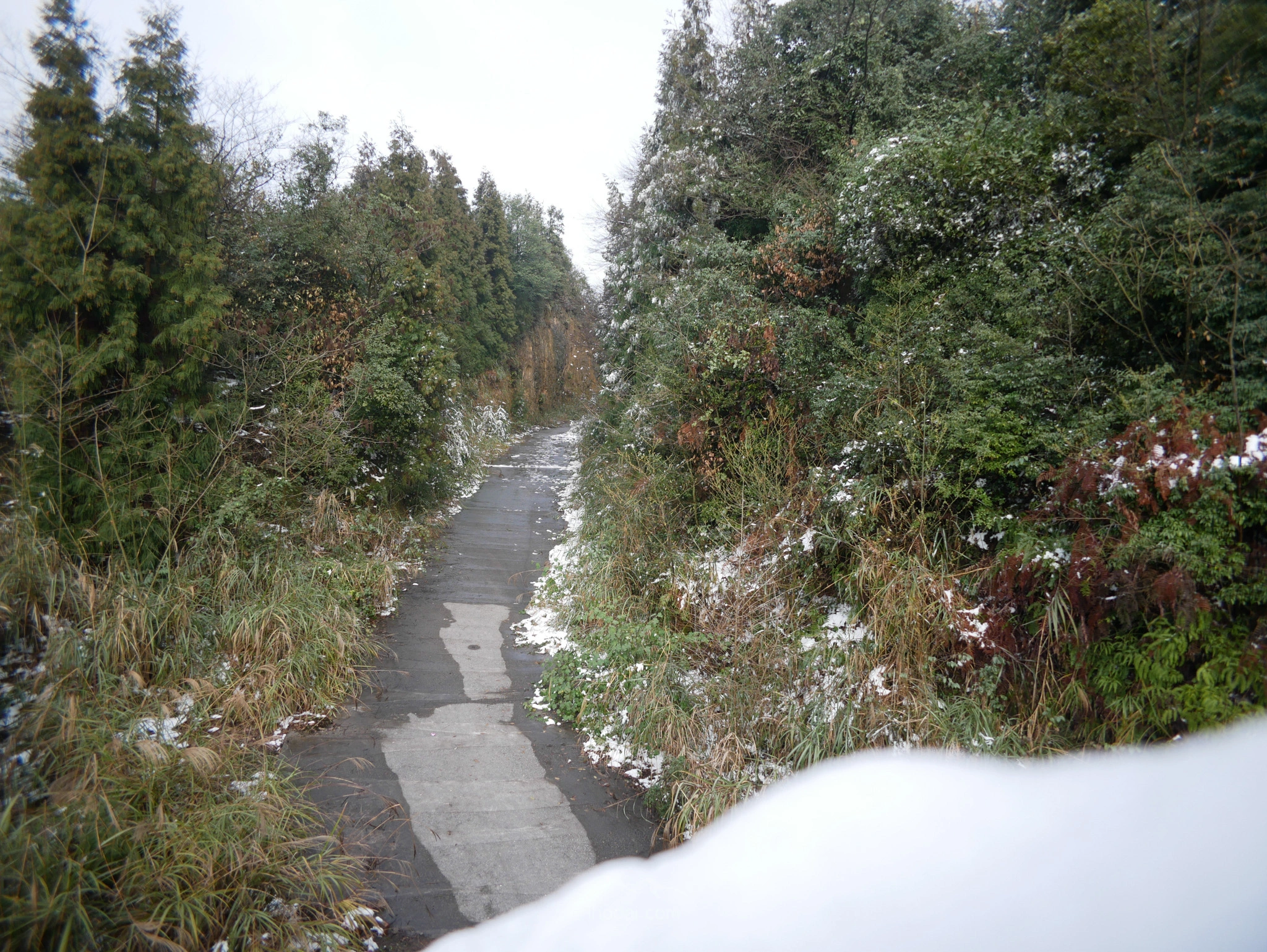 图片[10]-青峰山上听雪化的声音-自然分享
