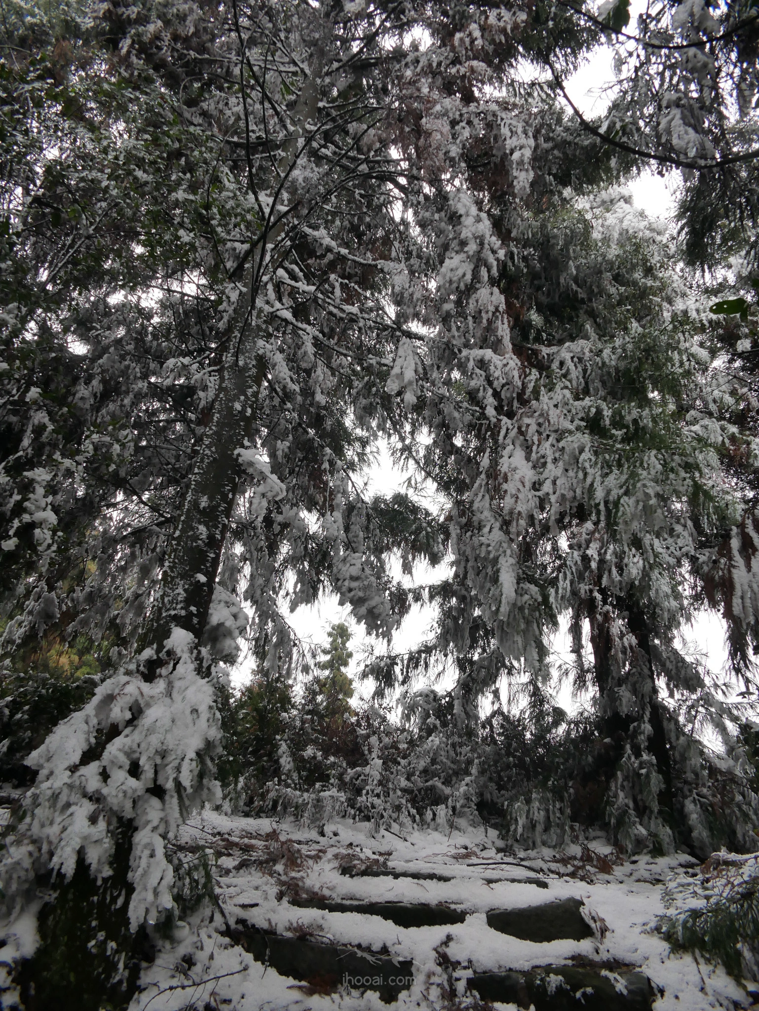 图片[23]-青峰山上听雪化的声音-自然分享
