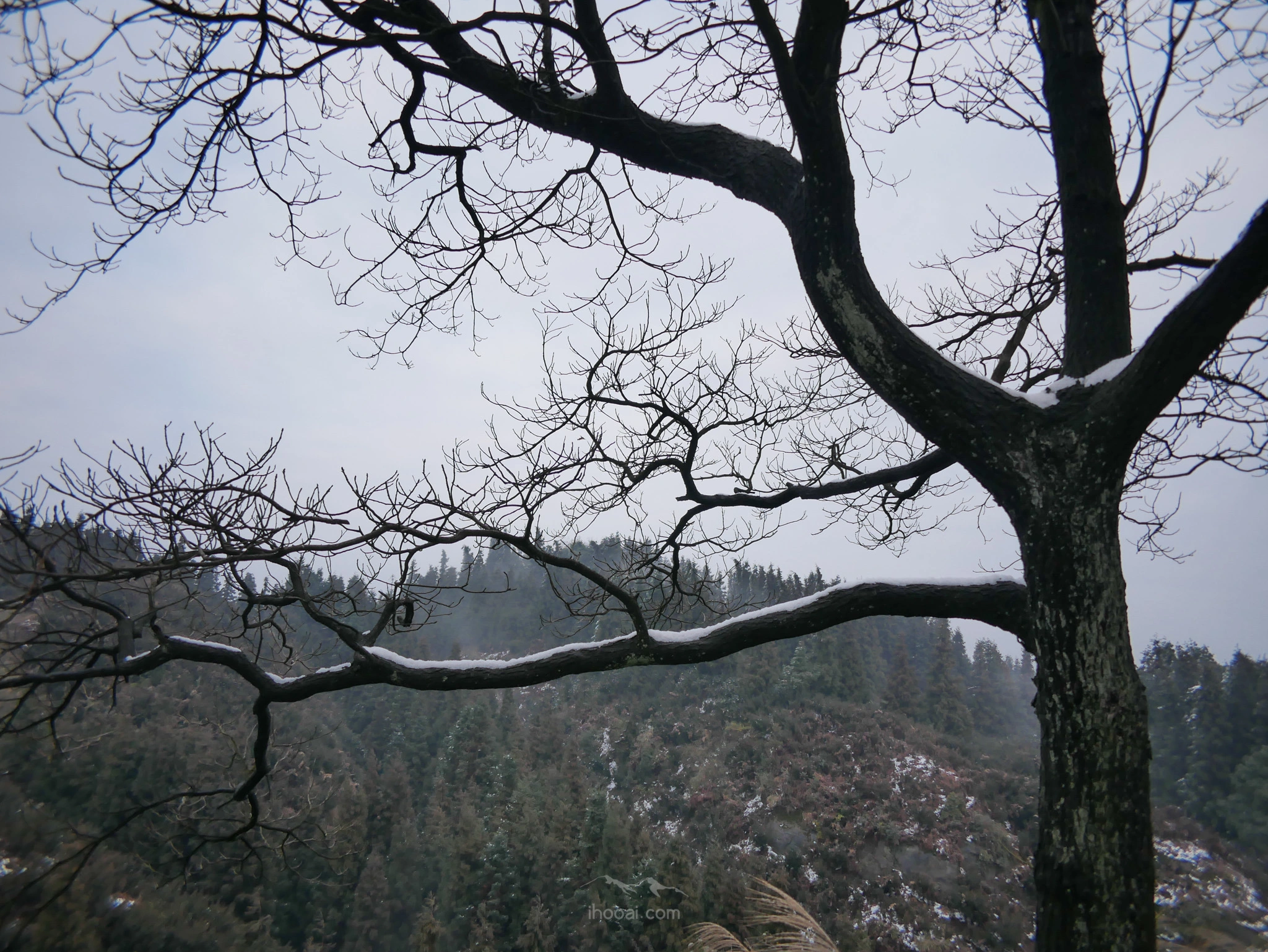 图片[25]-青峰山上听雪化的声音-自然分享
