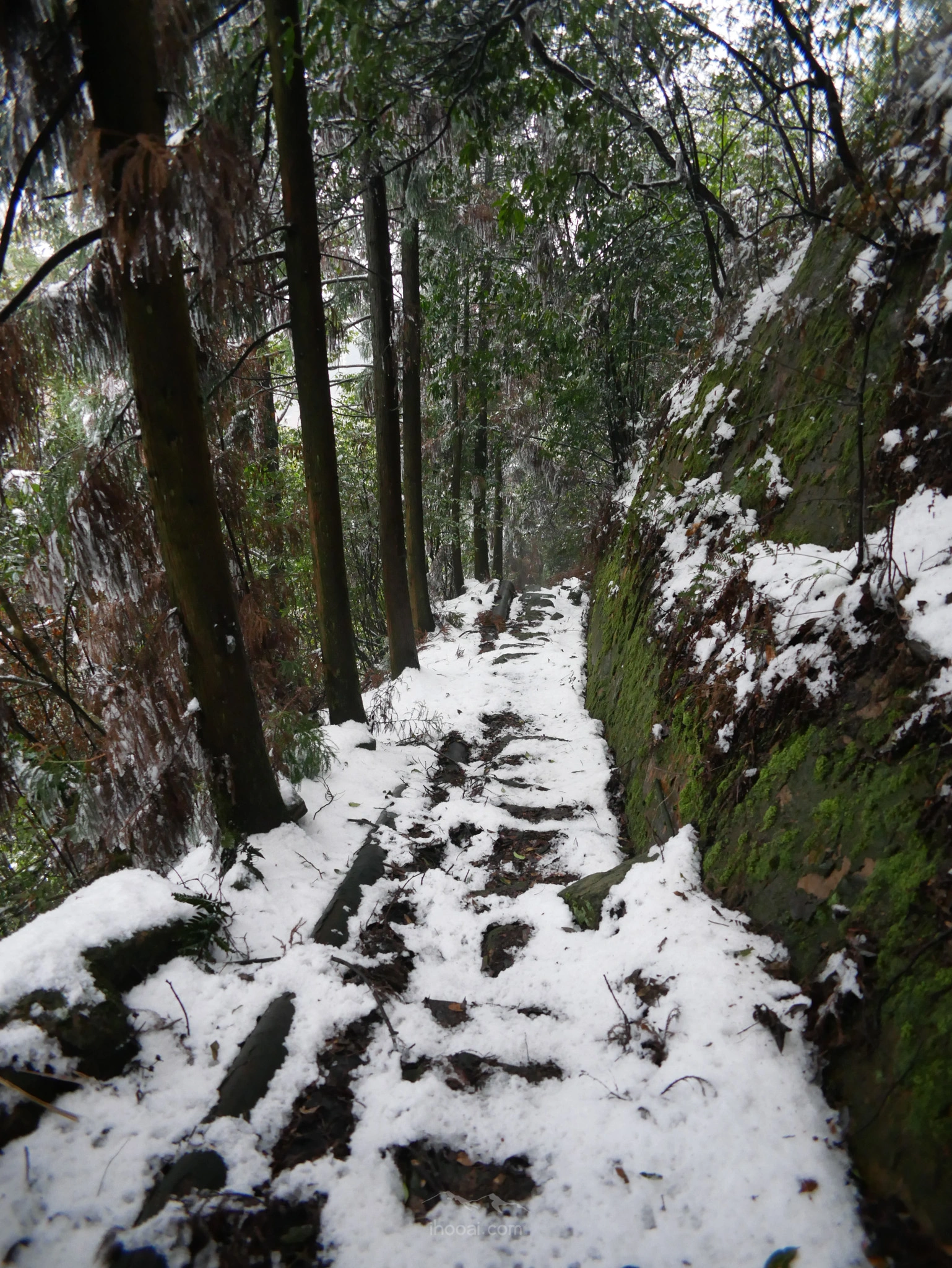 图片[27]-青峰山上听雪化的声音-自然分享