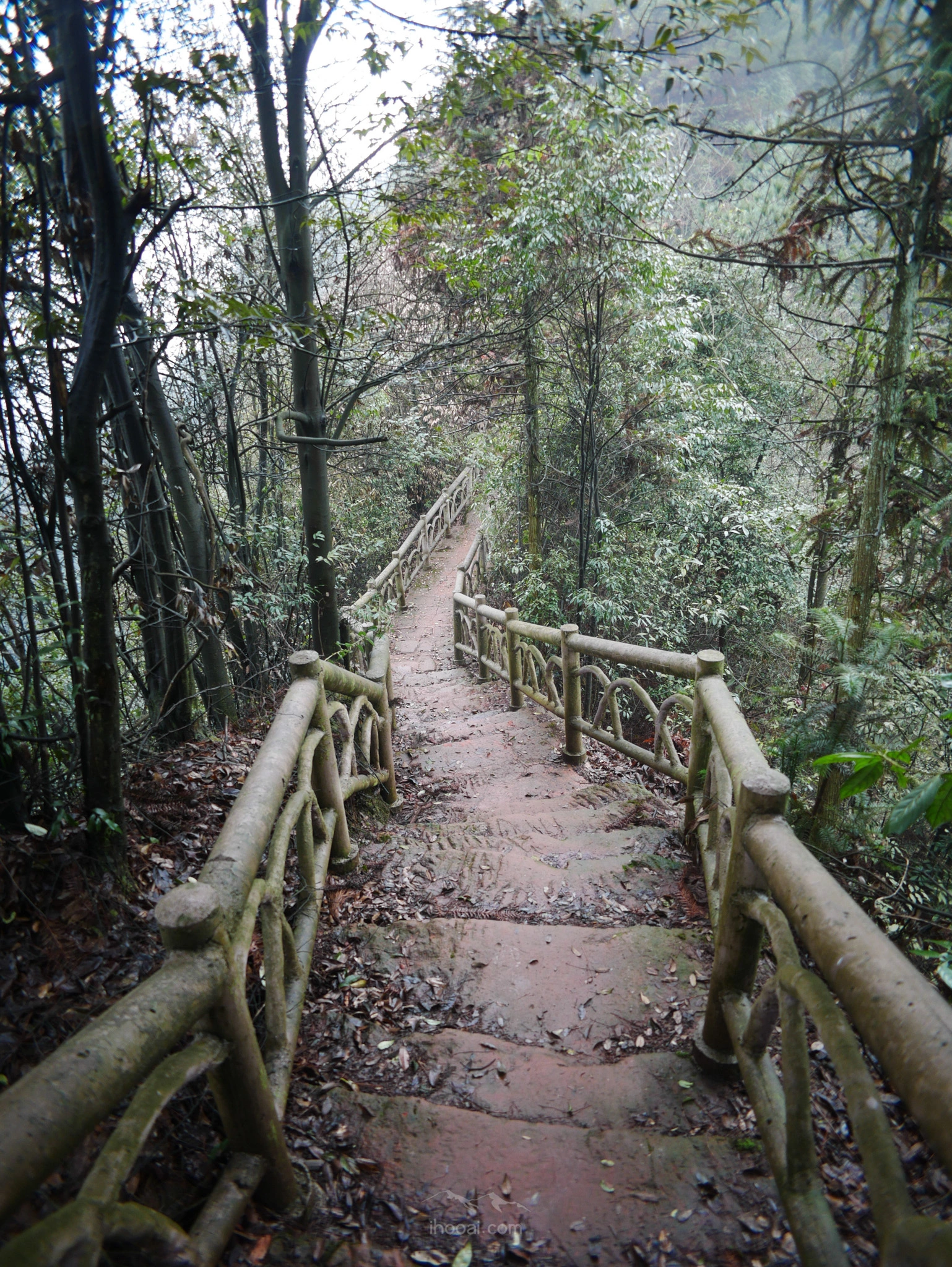 图片[60]-大圆洞国家森林公园徒步-自然分享